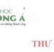 Thư Cảm Ơn